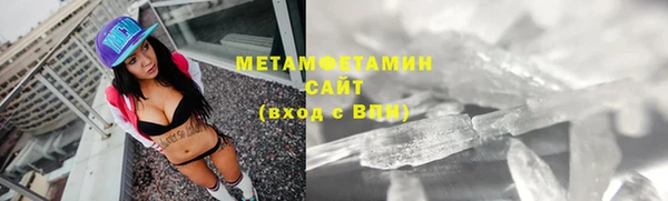 прущие грибы Куйбышев