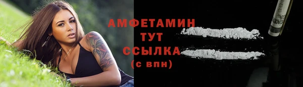 прущие грибы Куйбышев