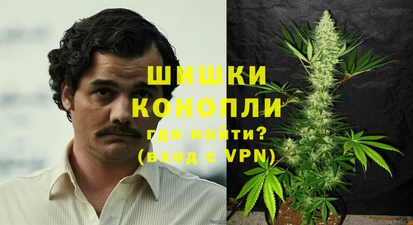 прущие грибы Куйбышев