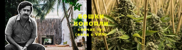 дурь Кулебаки