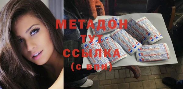 прущие грибы Куйбышев