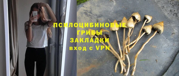 прущие грибы Куйбышев
