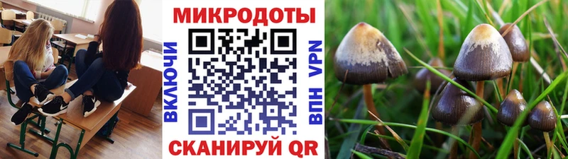 Купить закладки  Абинск  Галлюциногенные грибы мицелий 
